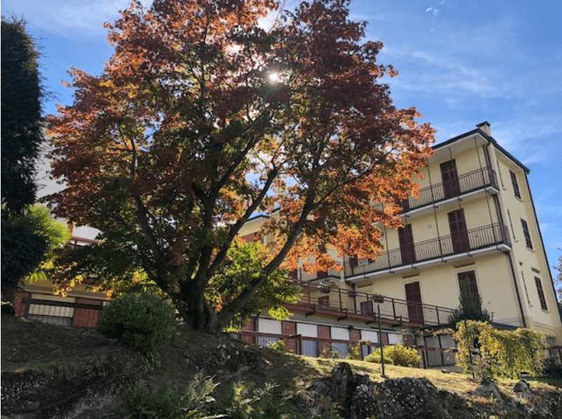 Giardino con alberi Villa Immacolata