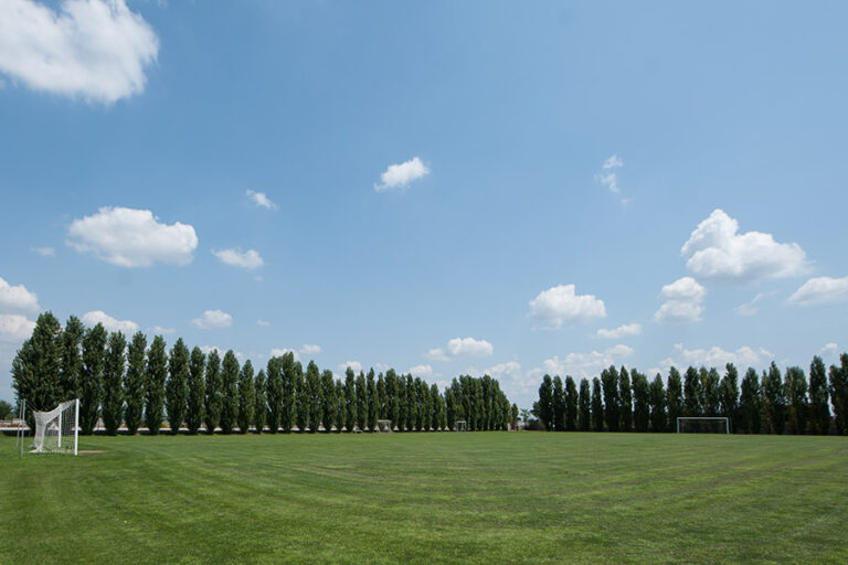 ANT_0248_net ANT_0248_net